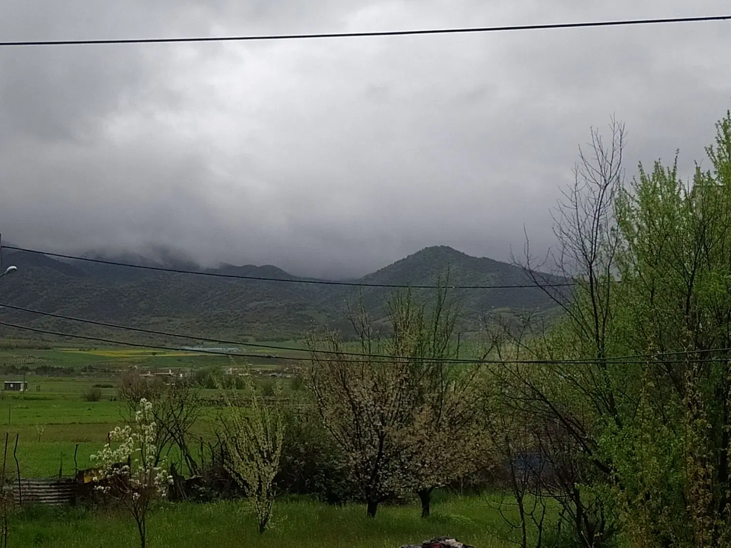 زمین باغ روستای کال خوار۱۰۰۰دارای آب برق ۱۵۰تااصلی