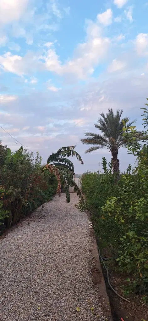 فروش باغچه۱۰۰۰متری شمس آباد