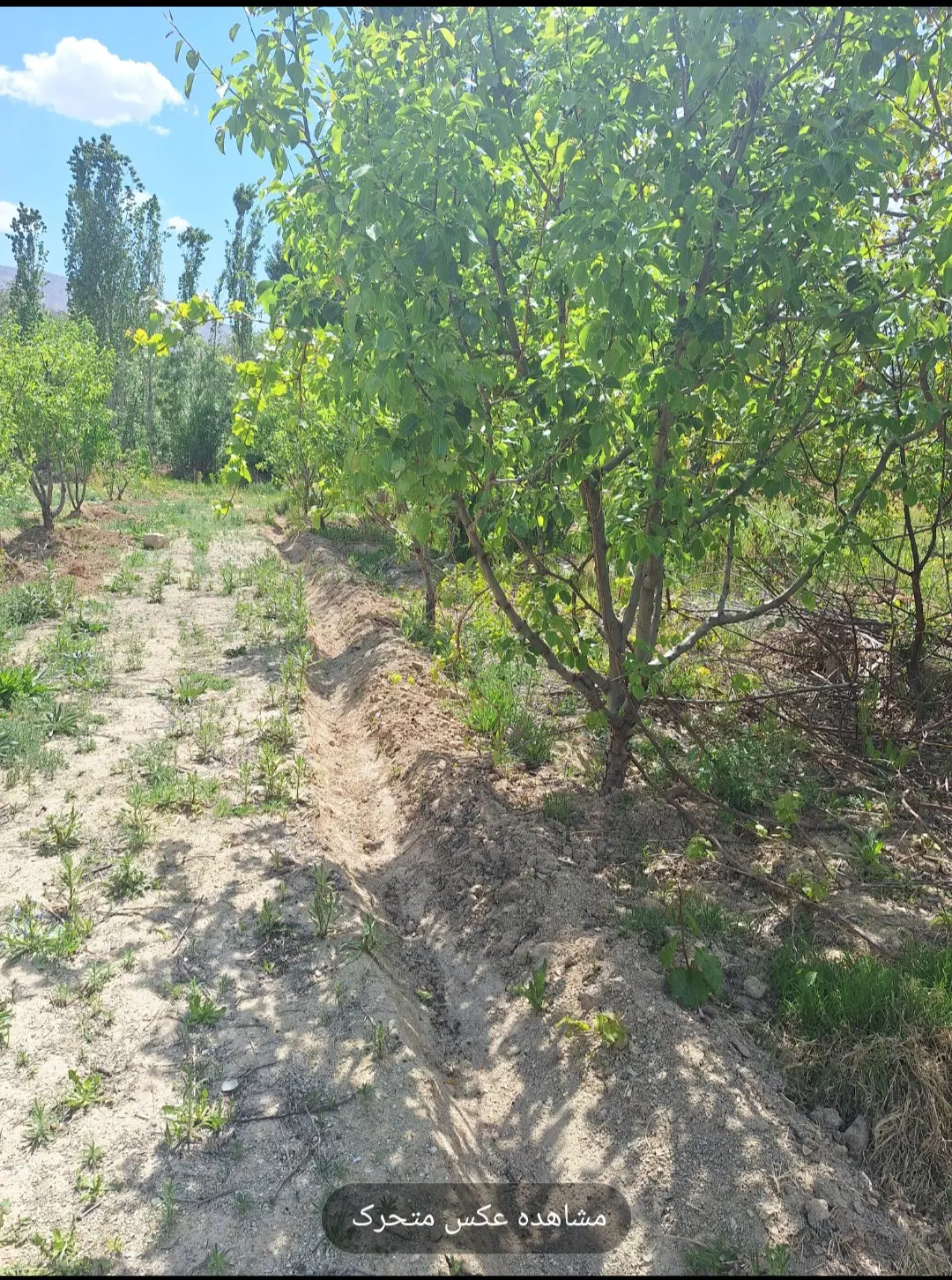 فروش خانه باغی