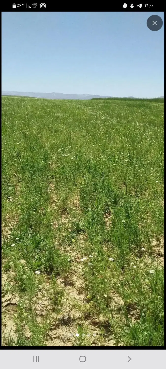 زمین با کاربری کشاورزی