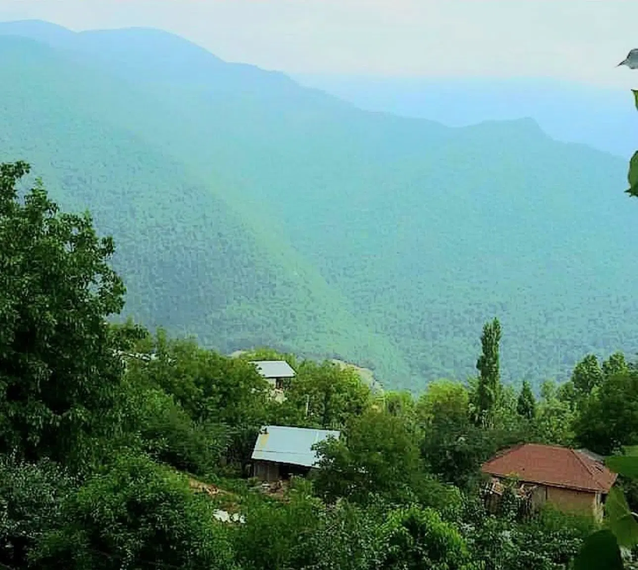 زمین کوهستانی در میان رستاق