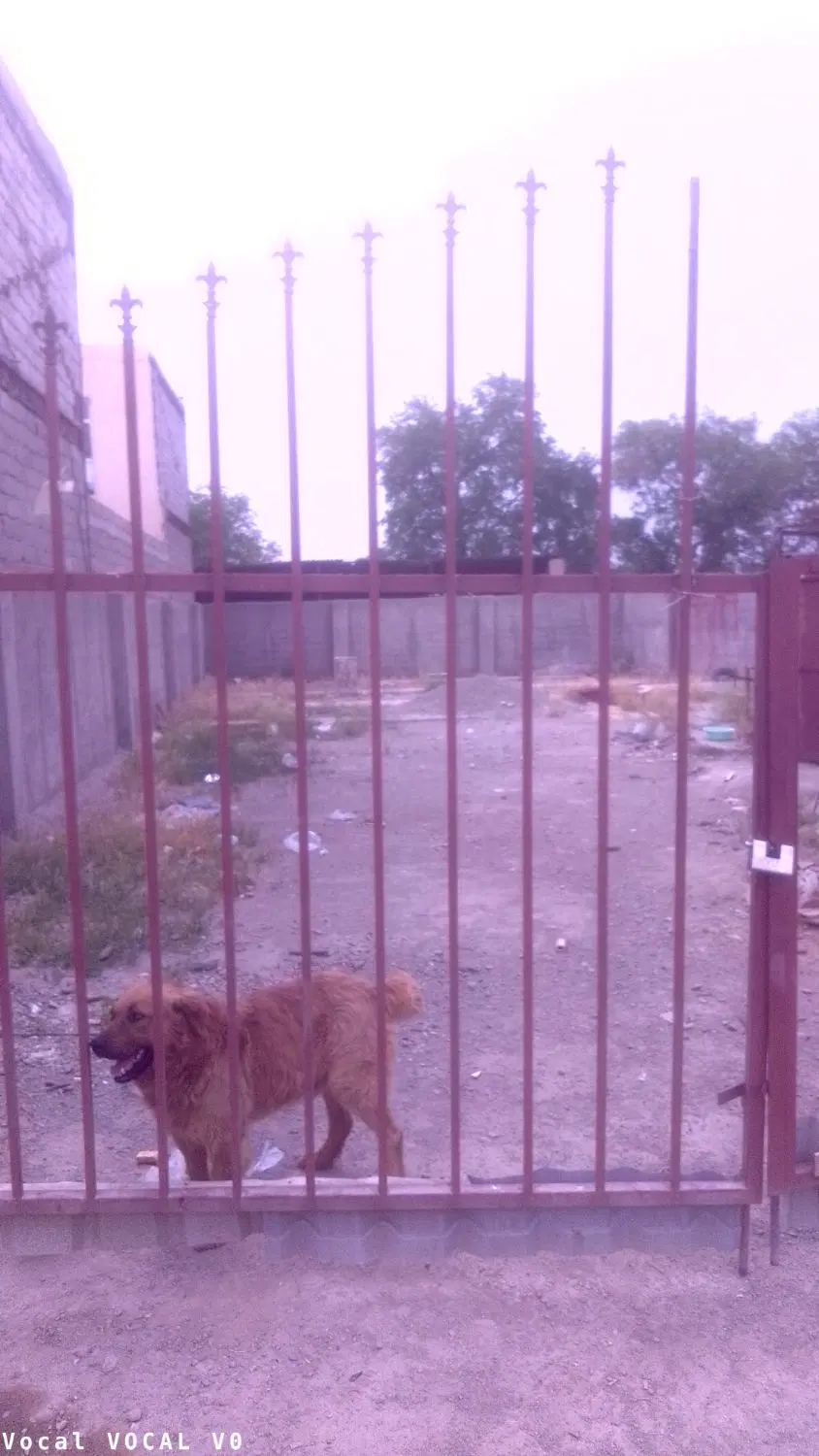 اجاره محوطه 400 متری با دفتر کار
