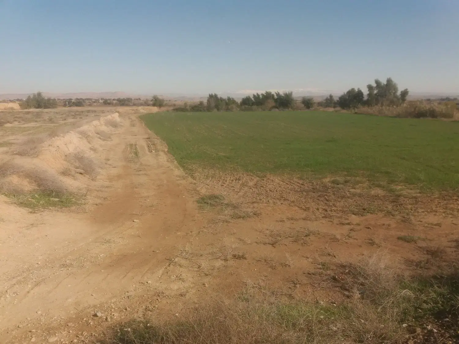 ۶۵۵۰متر زمین شلیلی بزرگ