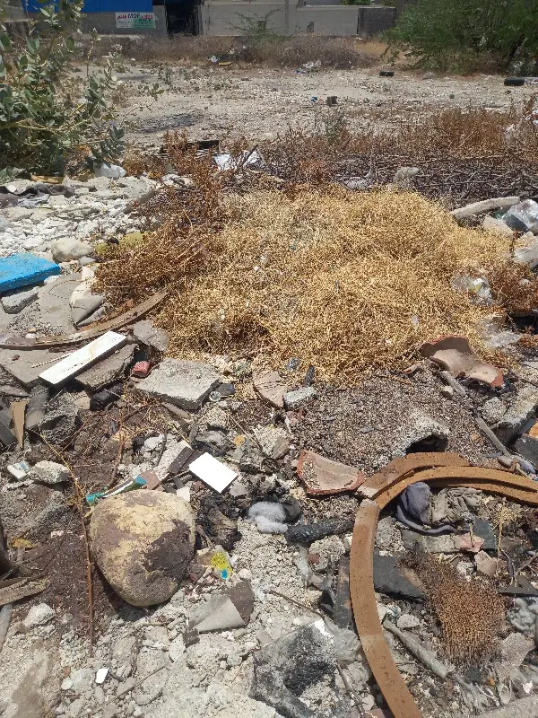 حد ود ۱۰هکتارزمین گشاورزی