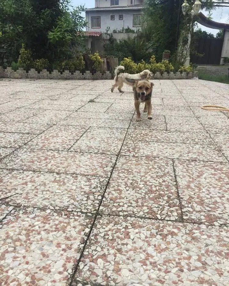 مغازه اجاره ای الله اباد