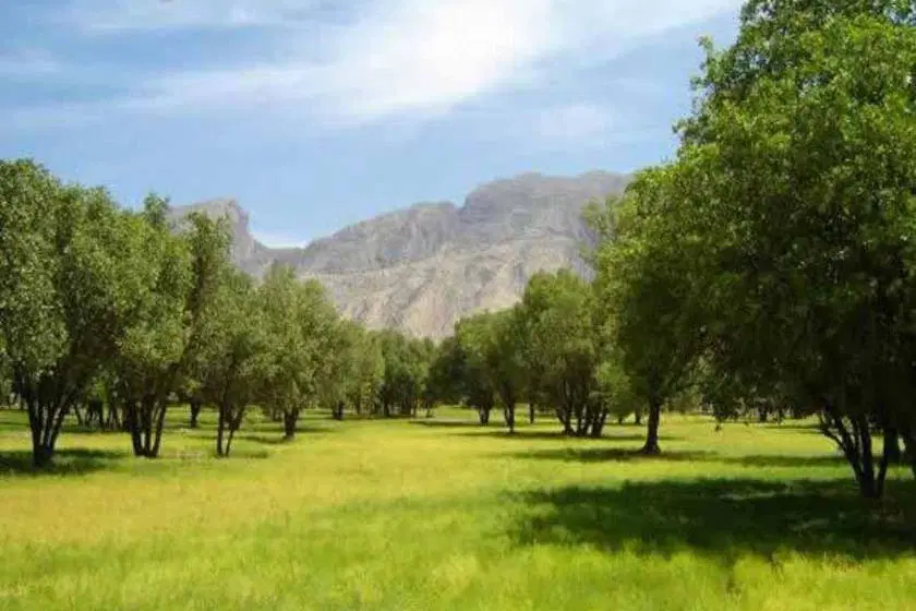 فروش زمین