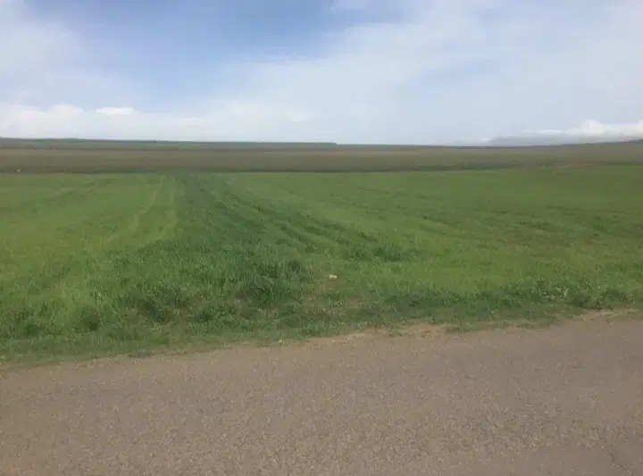 زمین کشاورزی بر اتوبان اصلی درراستای گیلانده