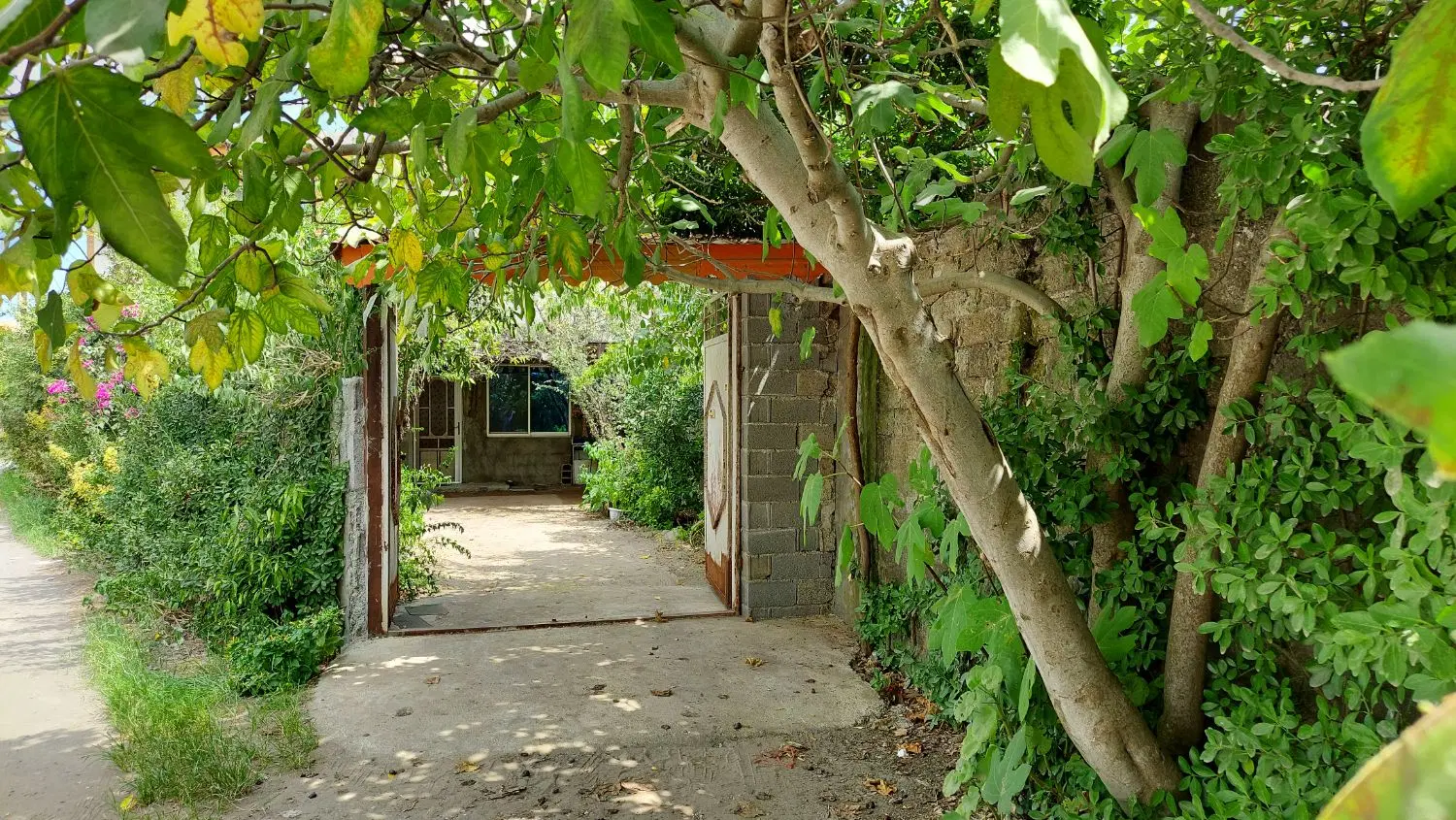 سوئیت اجاره چاف