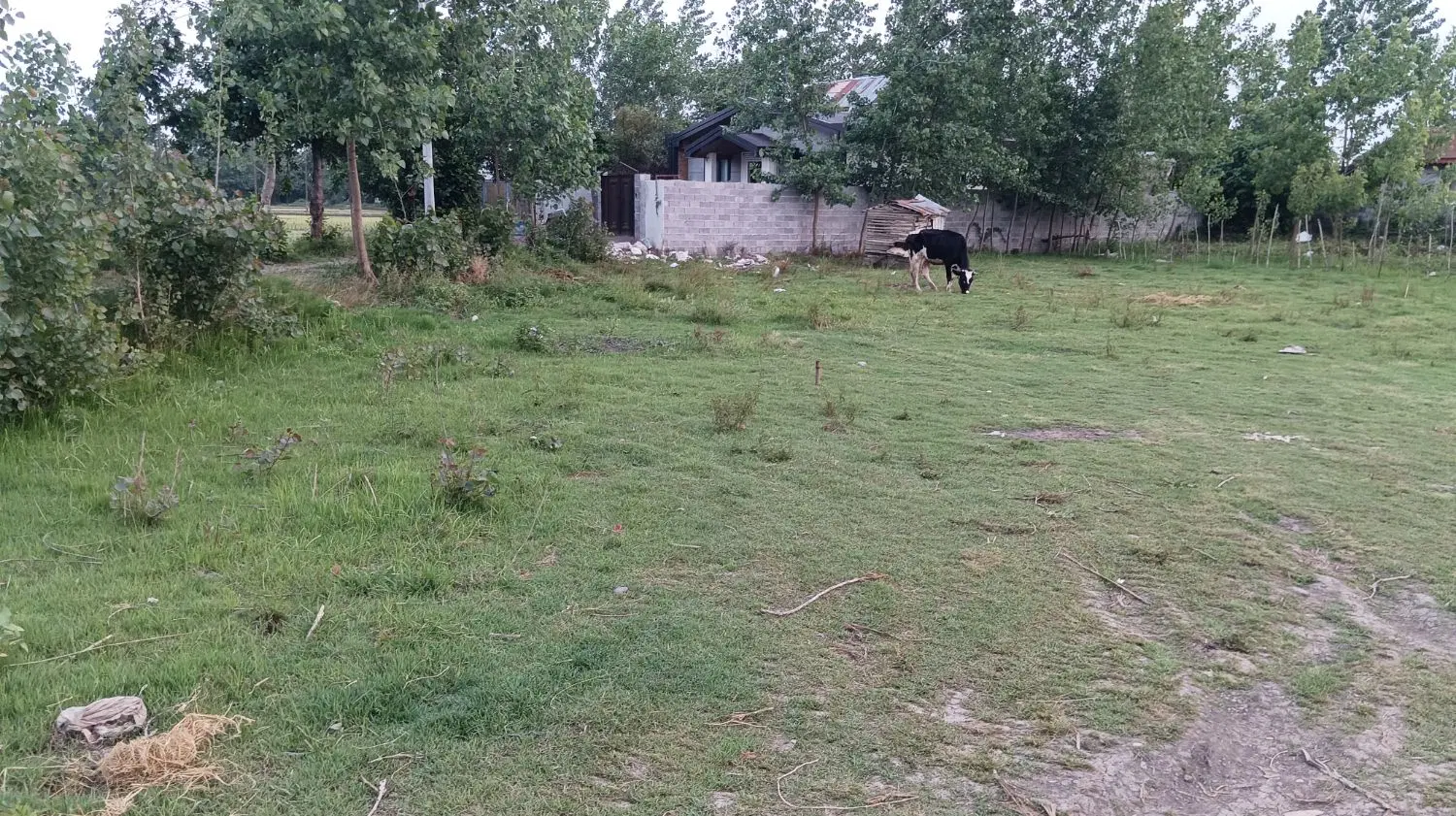 زمین مسکونی بالوکیشن عالی در دوقطعه