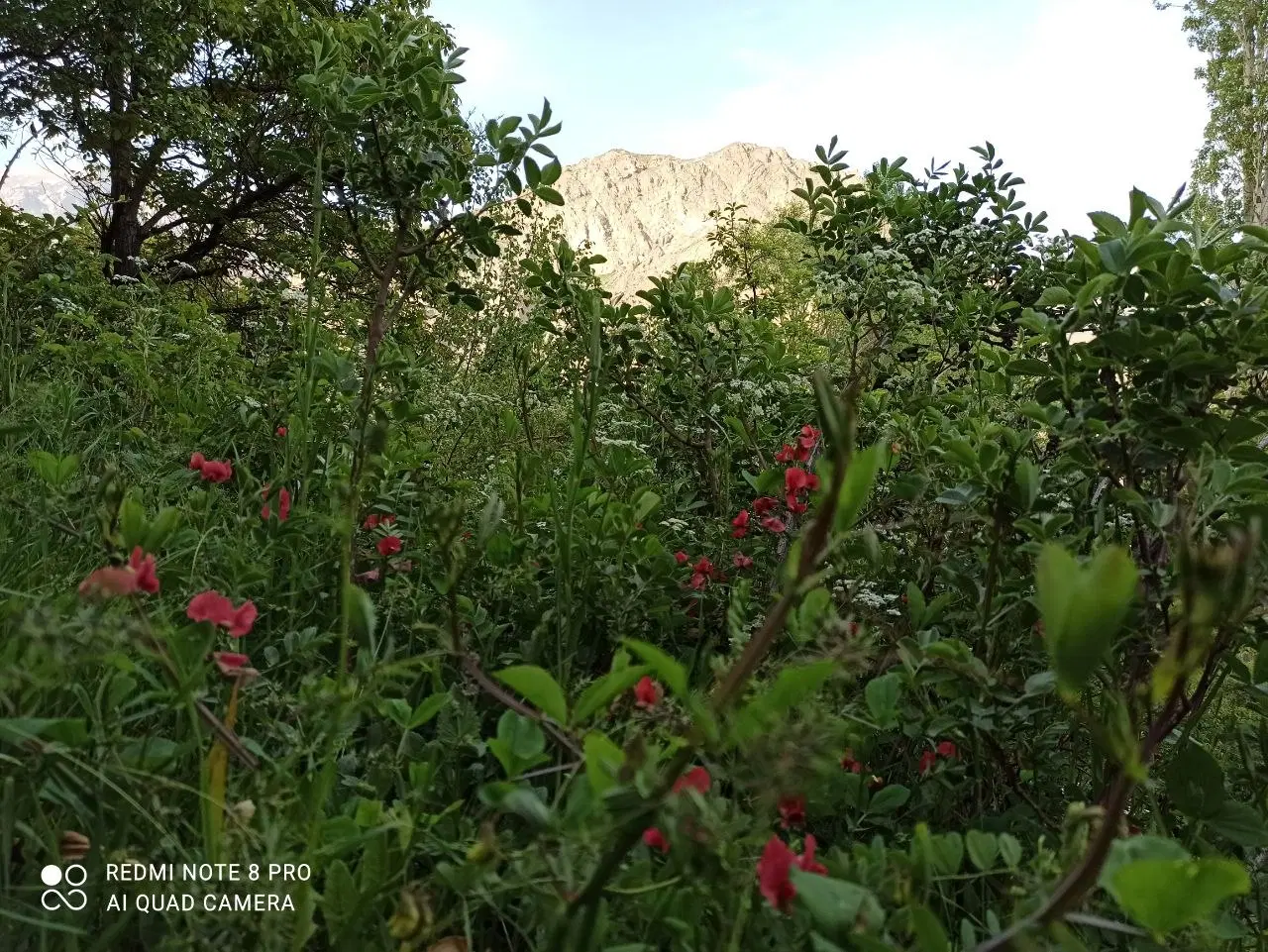 فروش زمین
