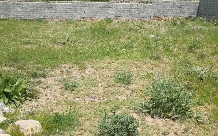 متراژ زمین ۶۲۰ متر