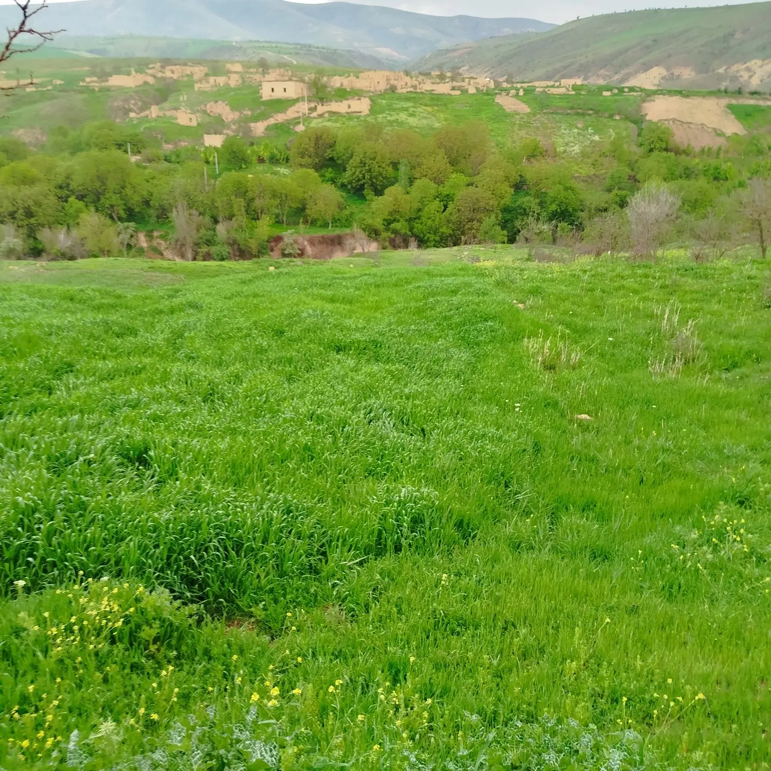 زمین باغی خوش آب وهوا