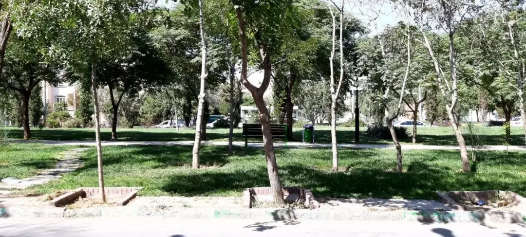 ویلایی ویو  ابدی