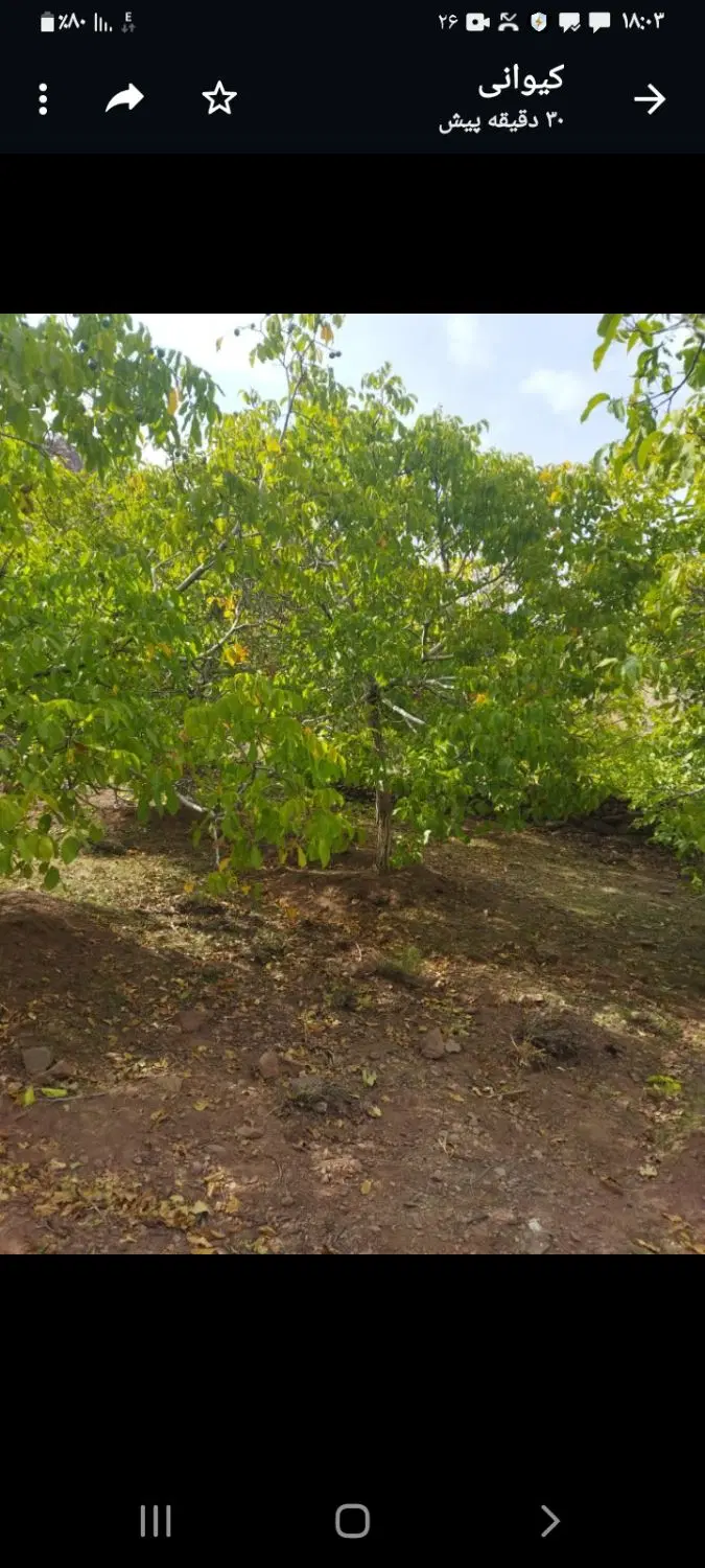 خونه نیمه ساز باسفهرجان