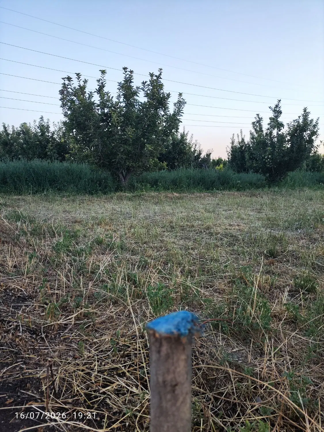 باغ ۷۵۰متری یا معاوضه با خودرو.