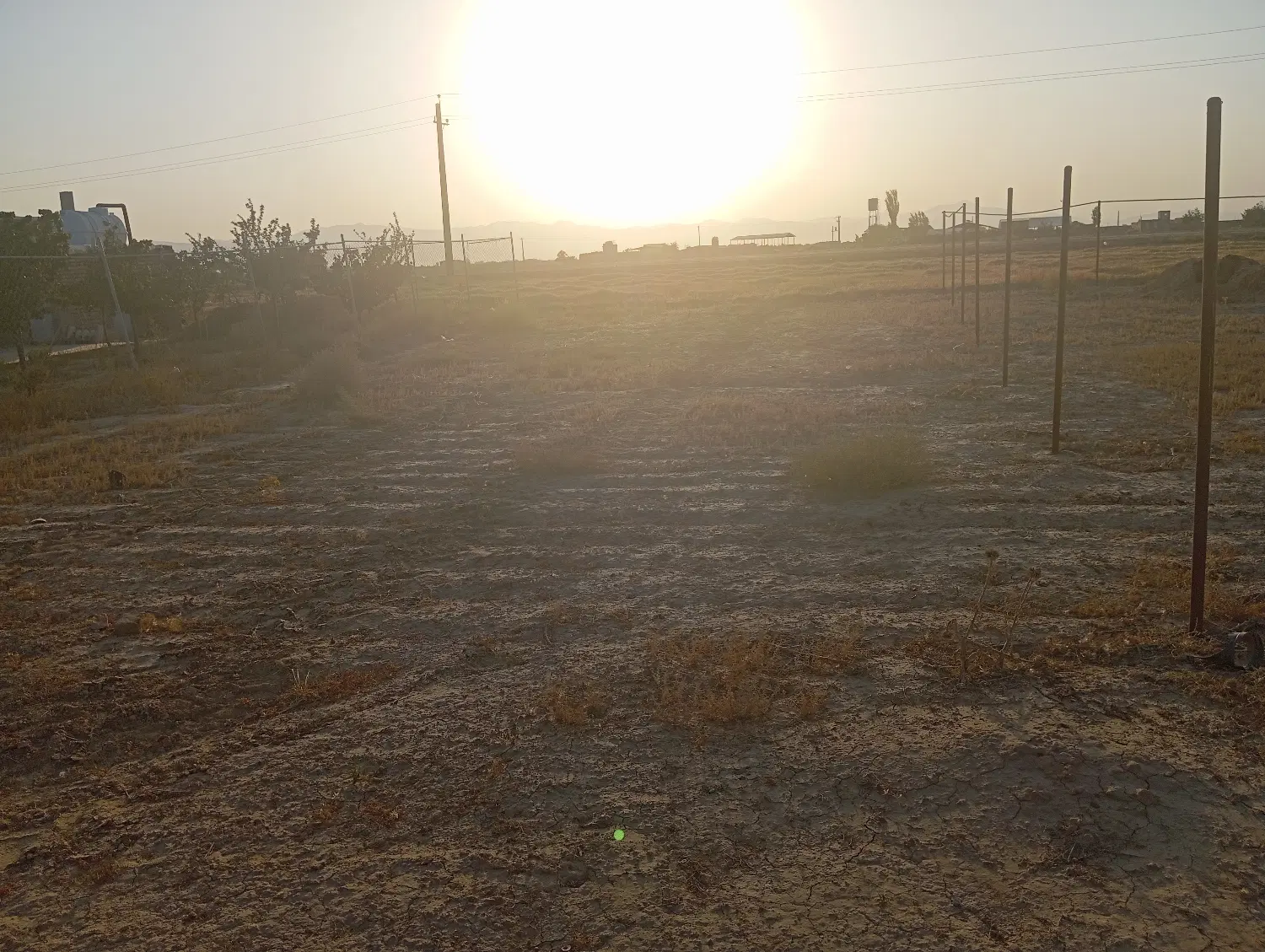 زمین باغی گاوخانه