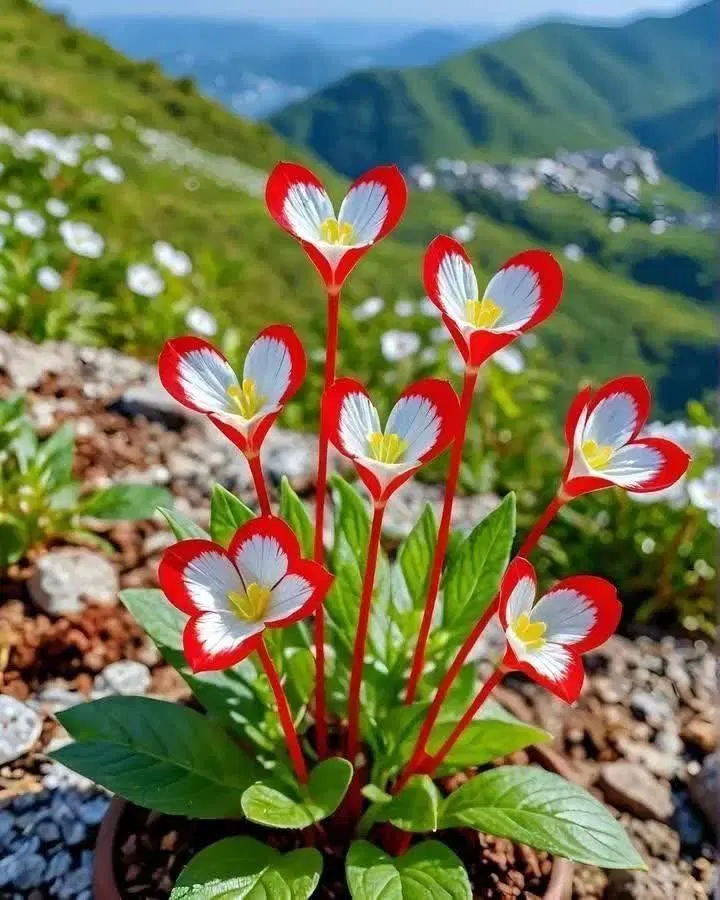 فروش باغ در تویسرکان استان همدان