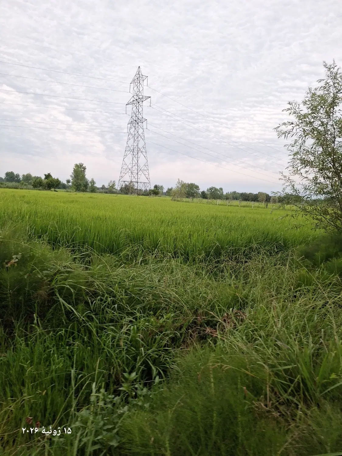 زمین کشاورزی به متراژ ۴۷۰۰