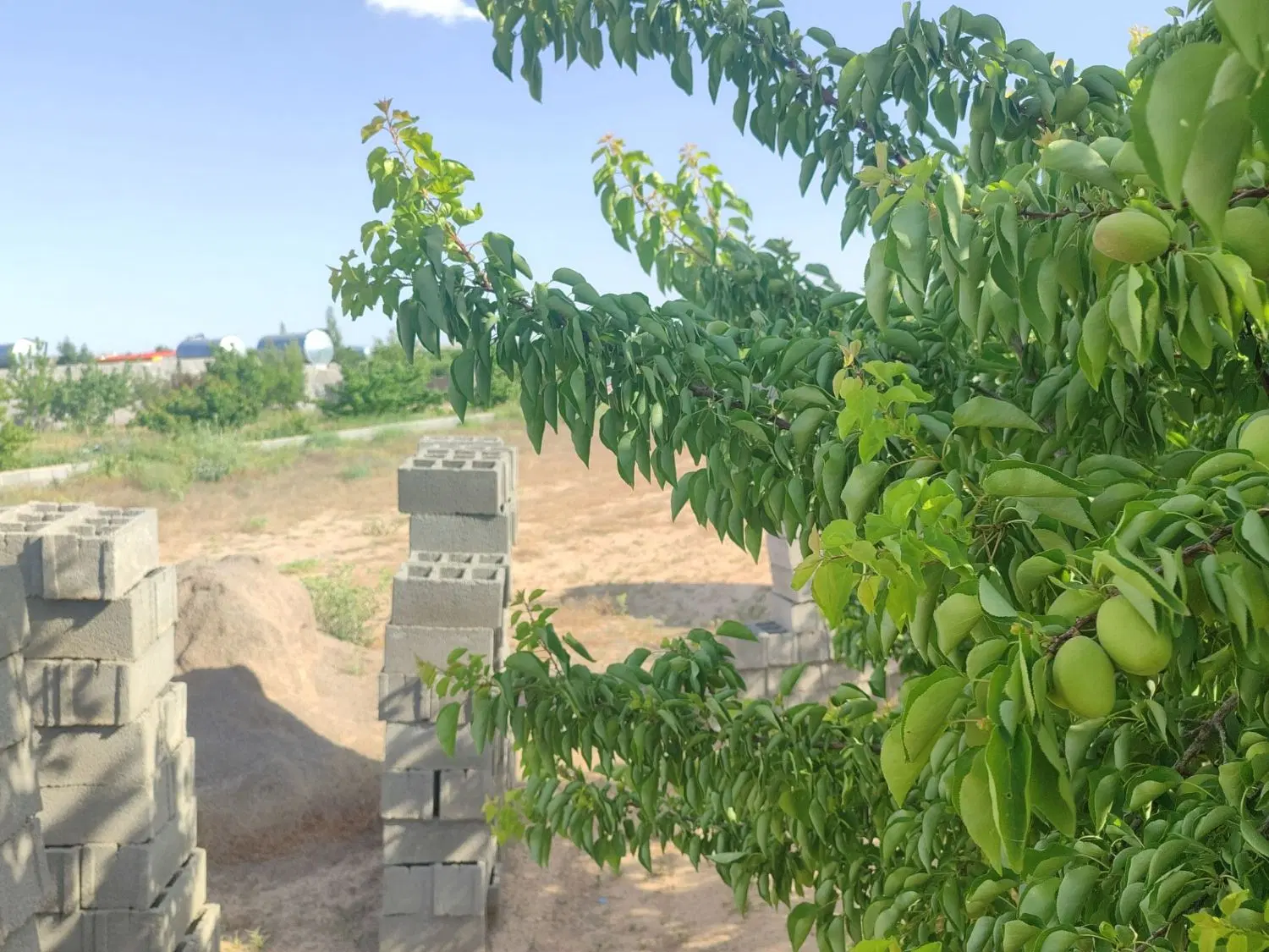 باغ ویلا و زمین خالی 500متری 1000متری