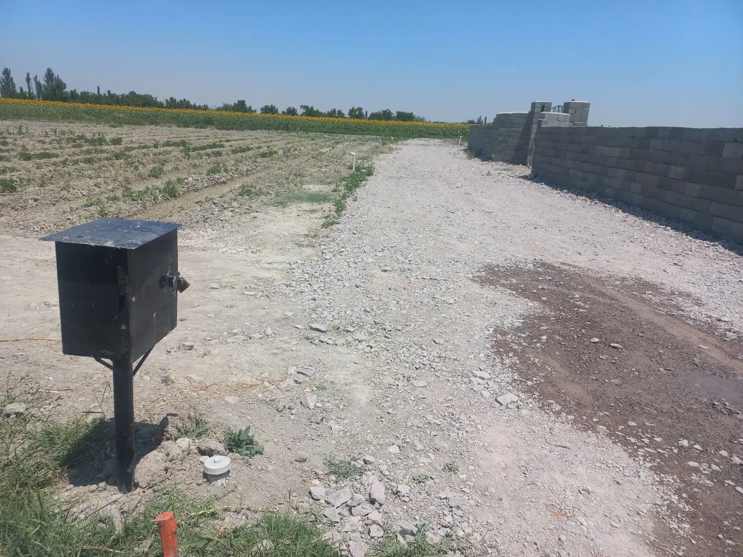 ۵۰۰مترزمین زراعی خالی خودروستای سعیدلو