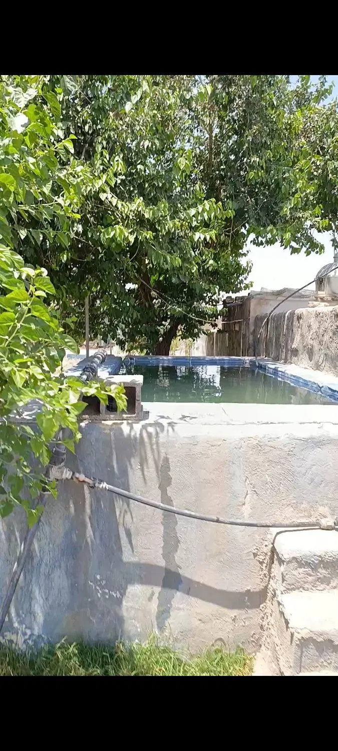 اجاره باغچه 2000متری برق سه فاز آب چاه