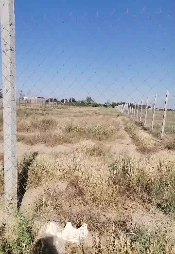 فروش یا معاوضه زمین