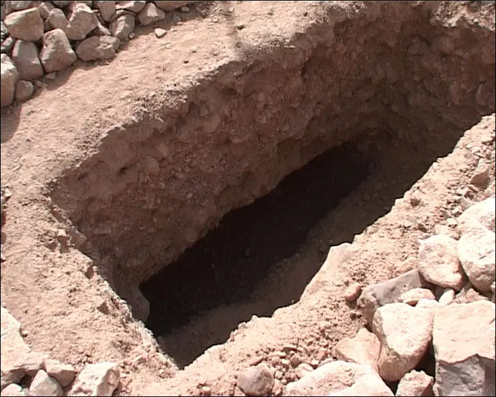 زمین