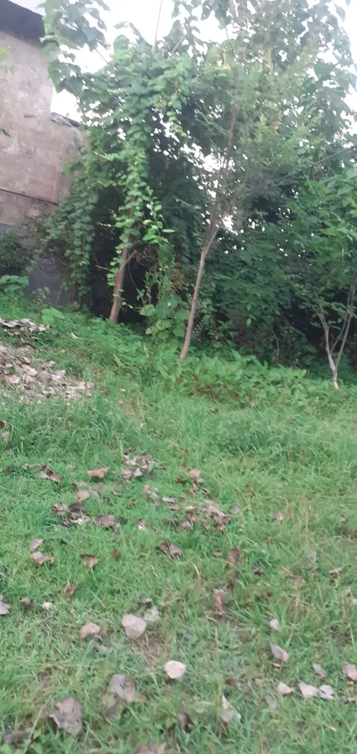 زمین مسکونی