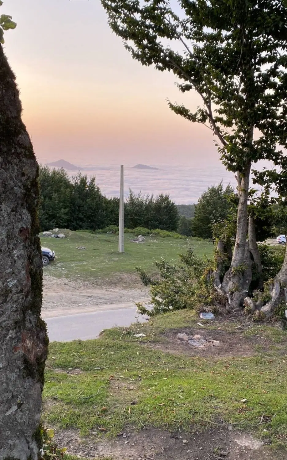 زمین