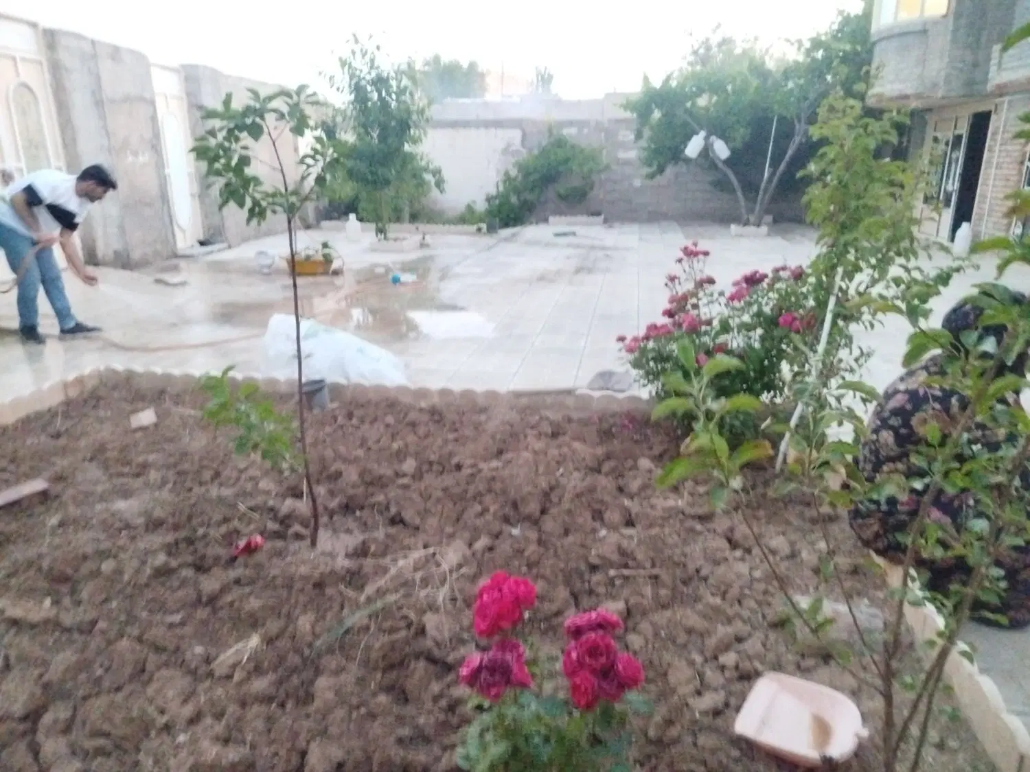 حیات