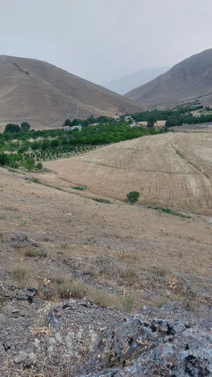 زمین  کوی گلستان