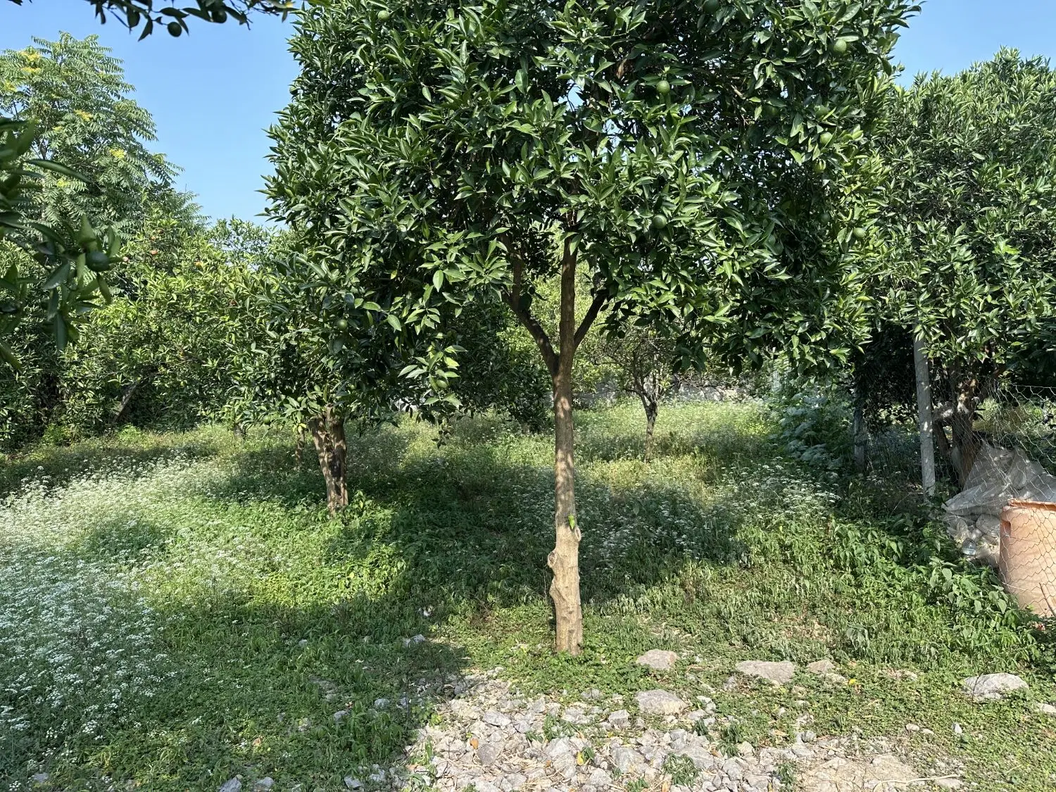 140متر مربع در بافت مسکونی و کوچه ۶متری
