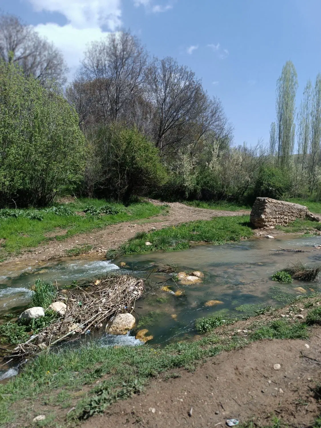 زمین تجاری مسکونی