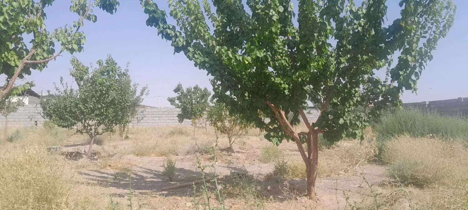 ۲۰ قصب زمین  امیرآباد سوخک
