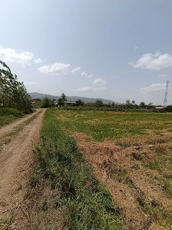 زمین ۳۰۰۰ متری تمام مسکونی