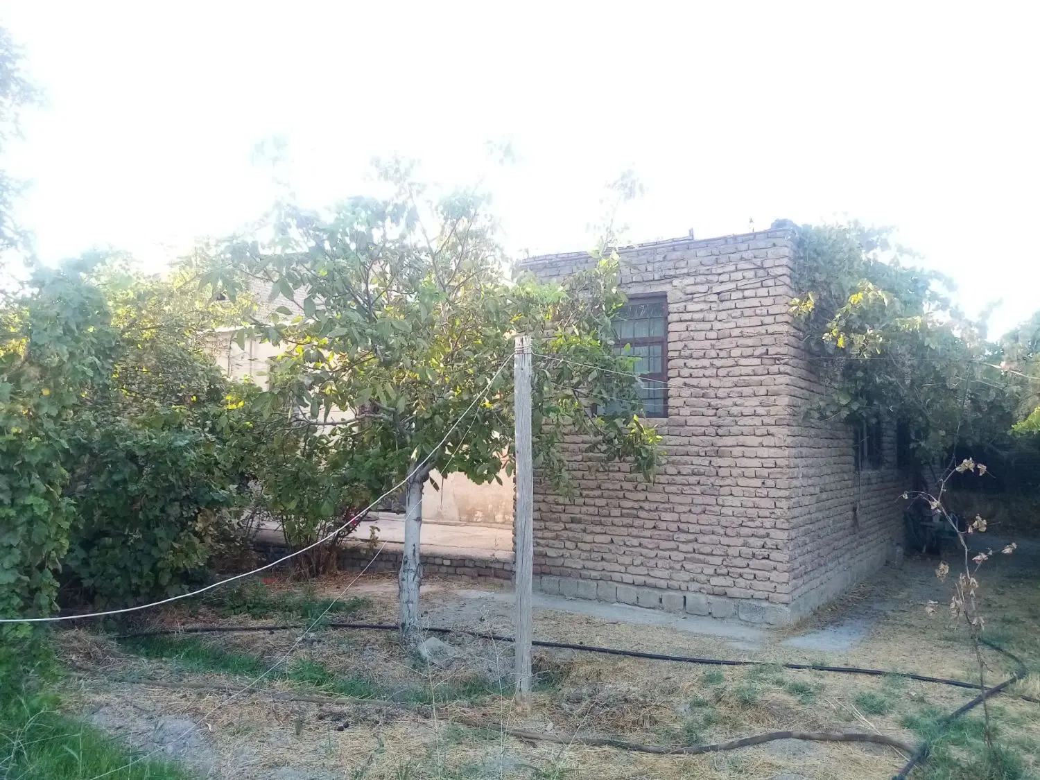 واحد مسکونی ویلایی