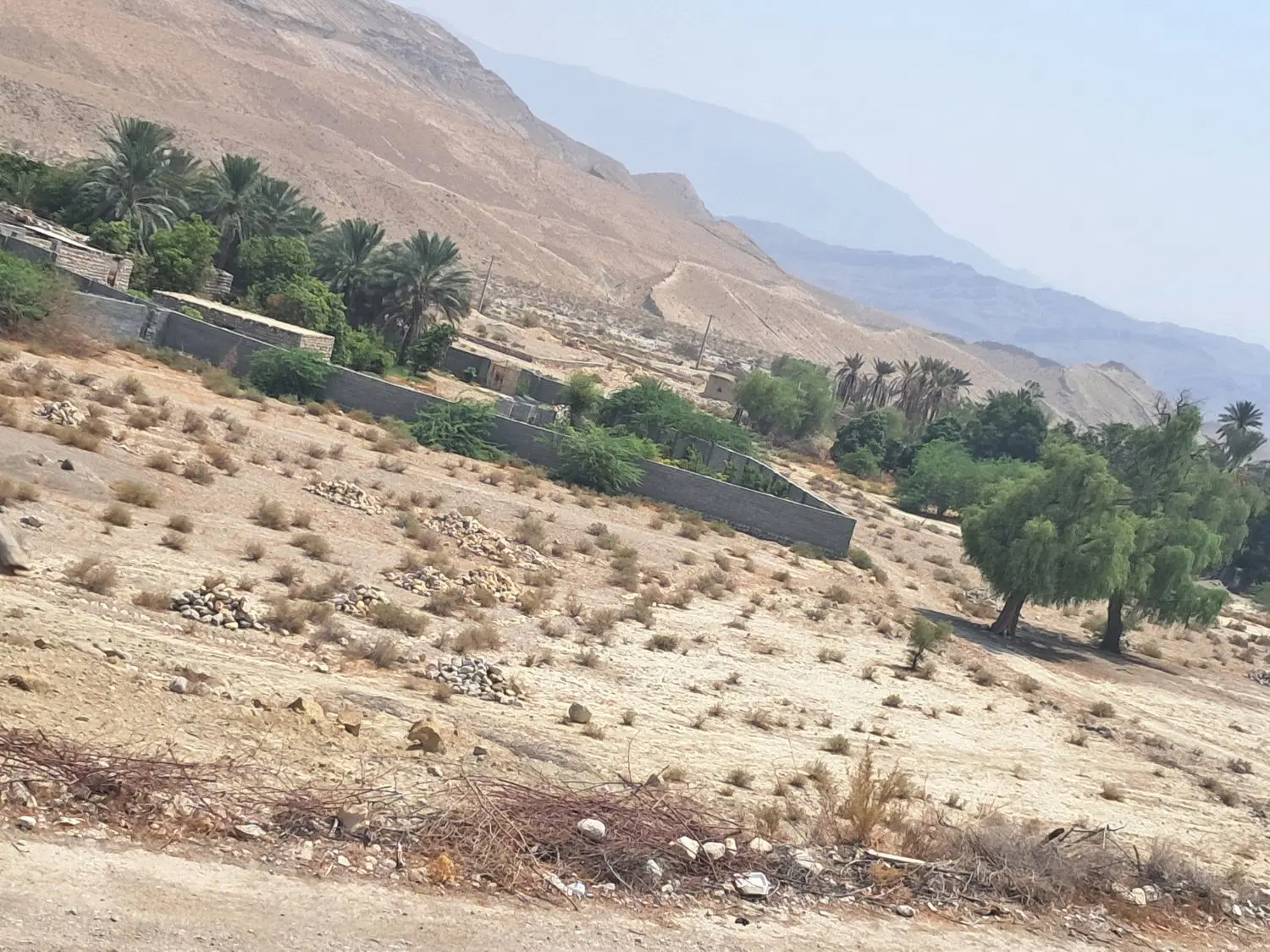 زمین سیاهو