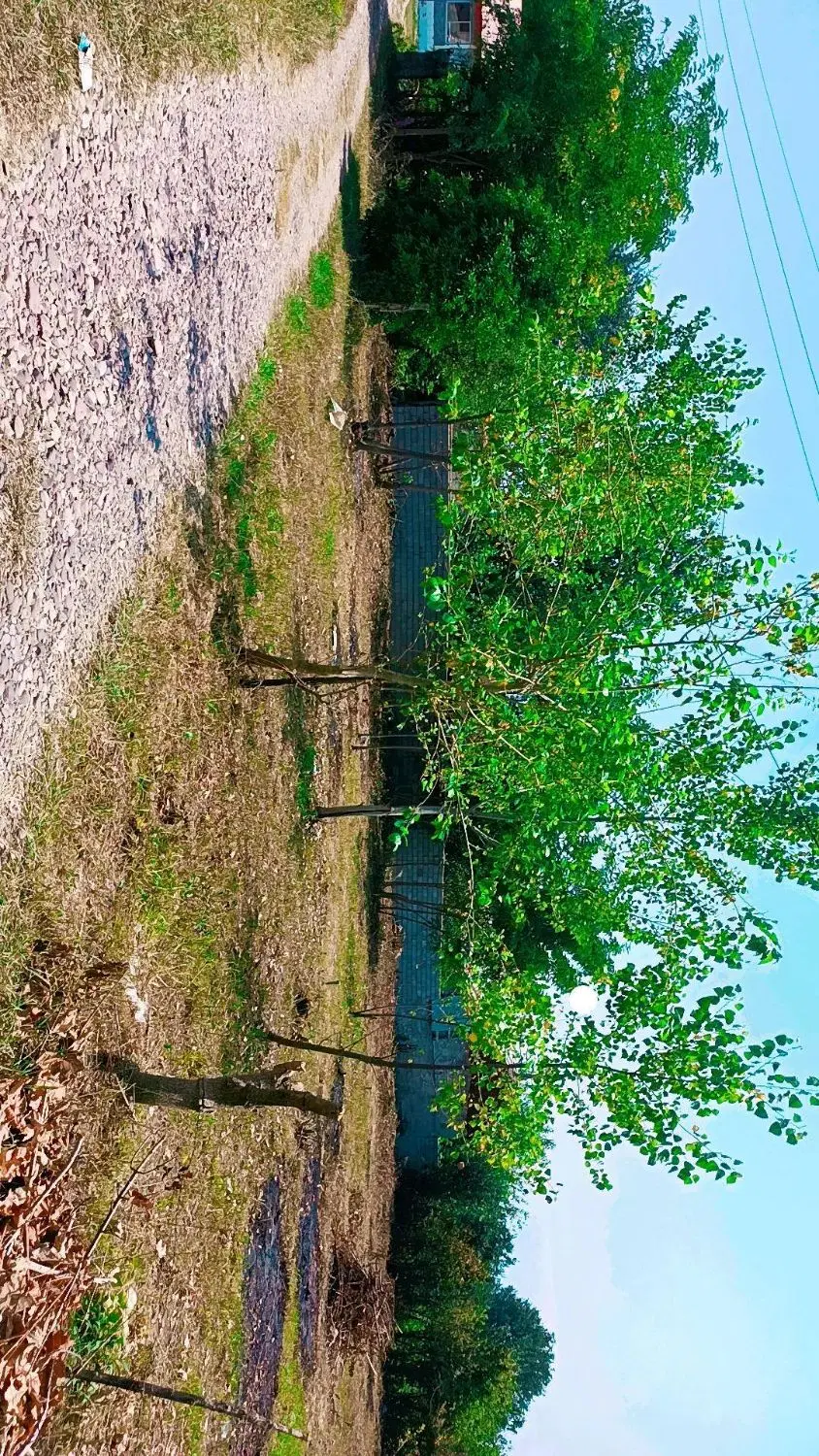 زمین مسکونی 1200 متر
