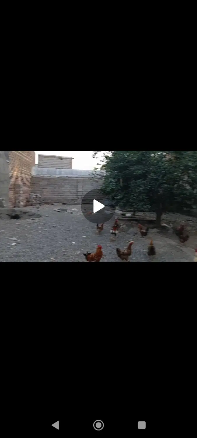 فروش زمین