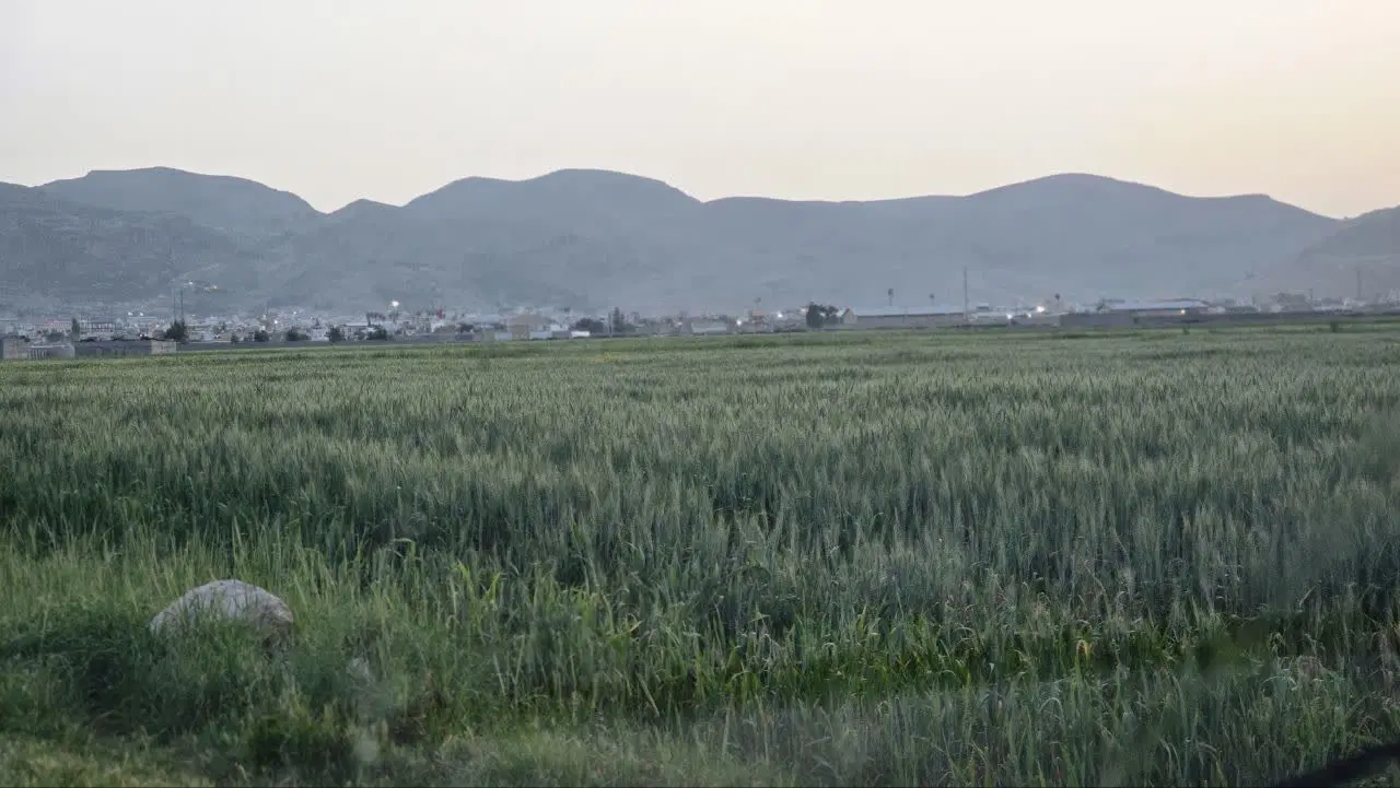 زمین کشاورزی
