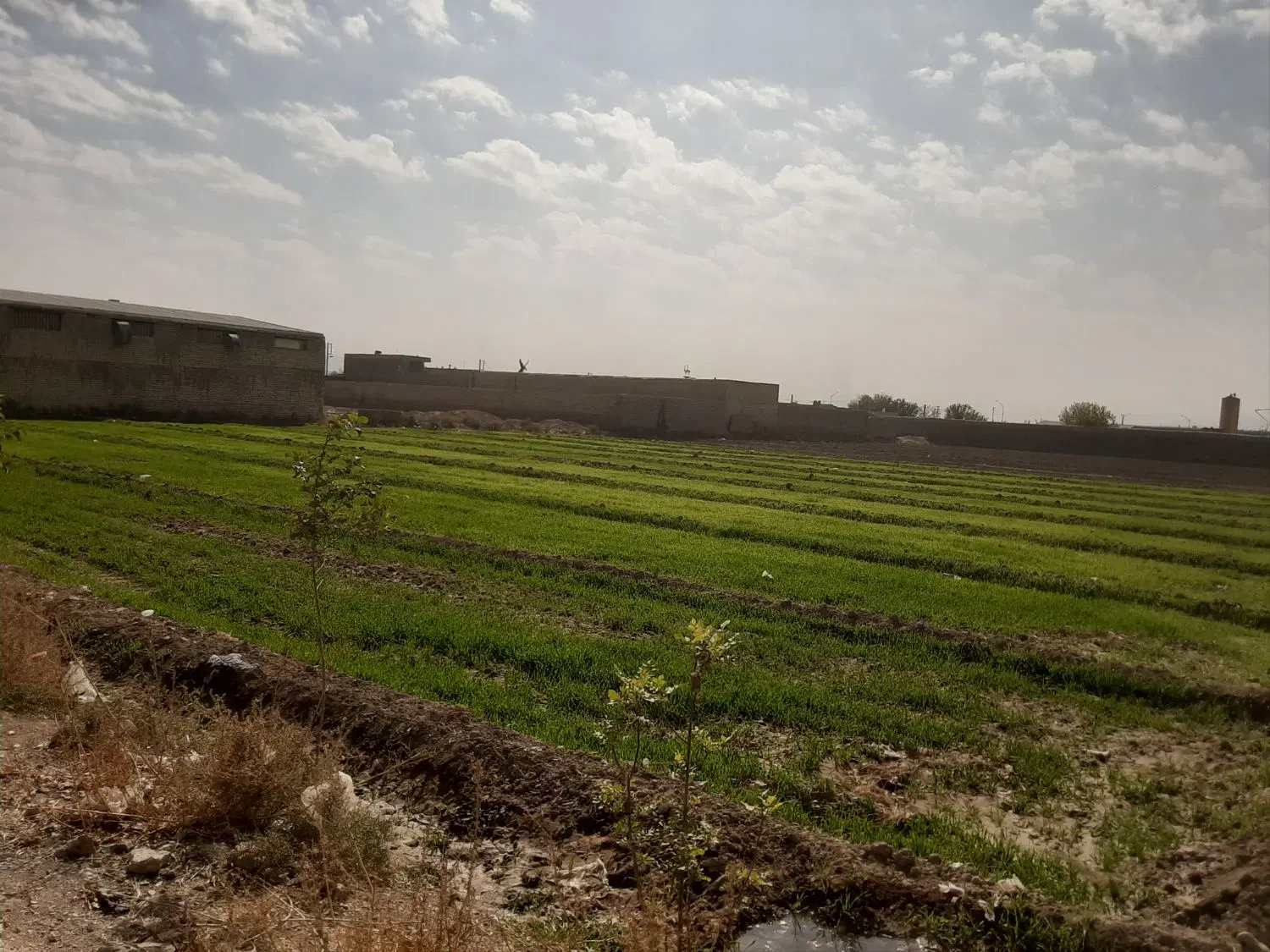 زمین کارگاهی چهاردیواری