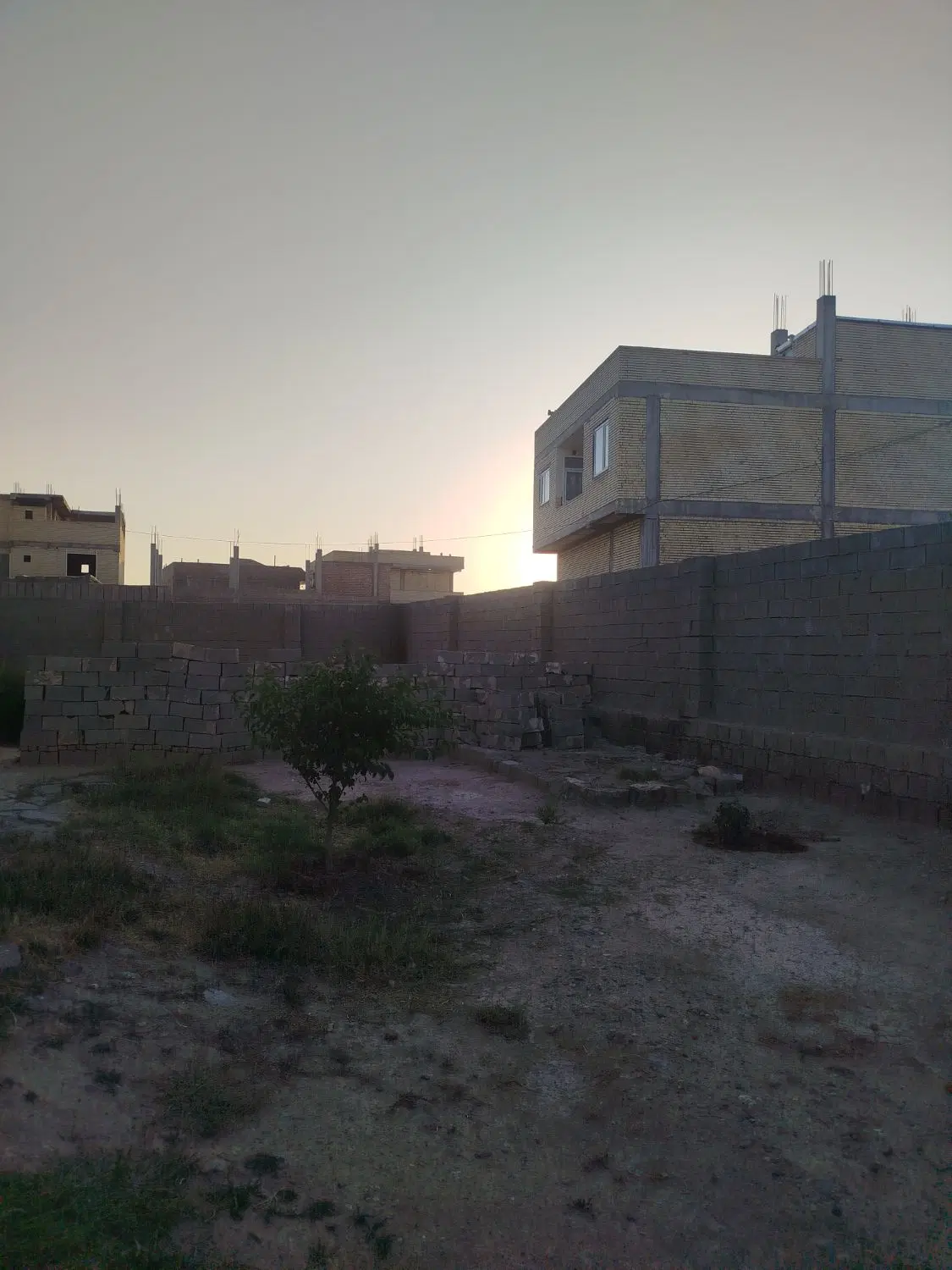 زمین