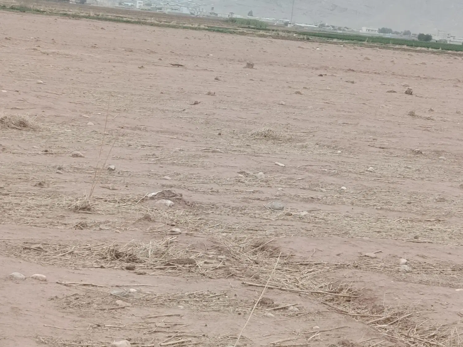 زمین