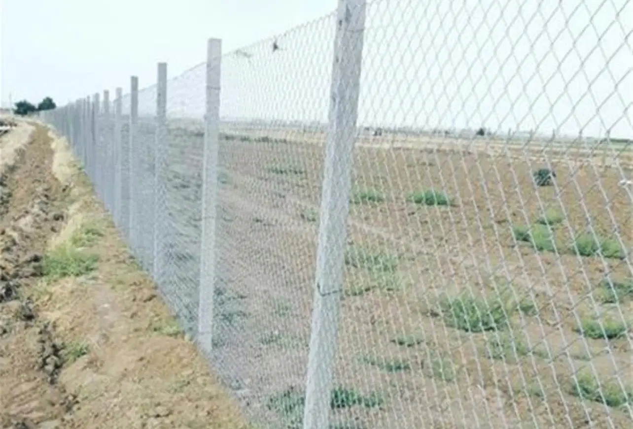 زمین باغی پونصد متر