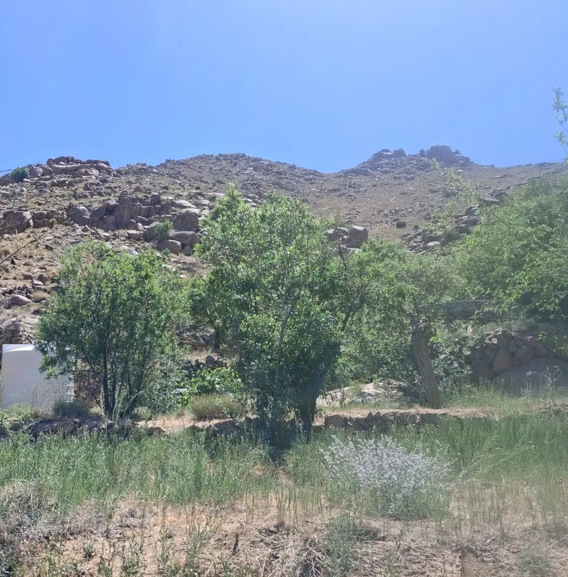زمین ده بنادک سادات