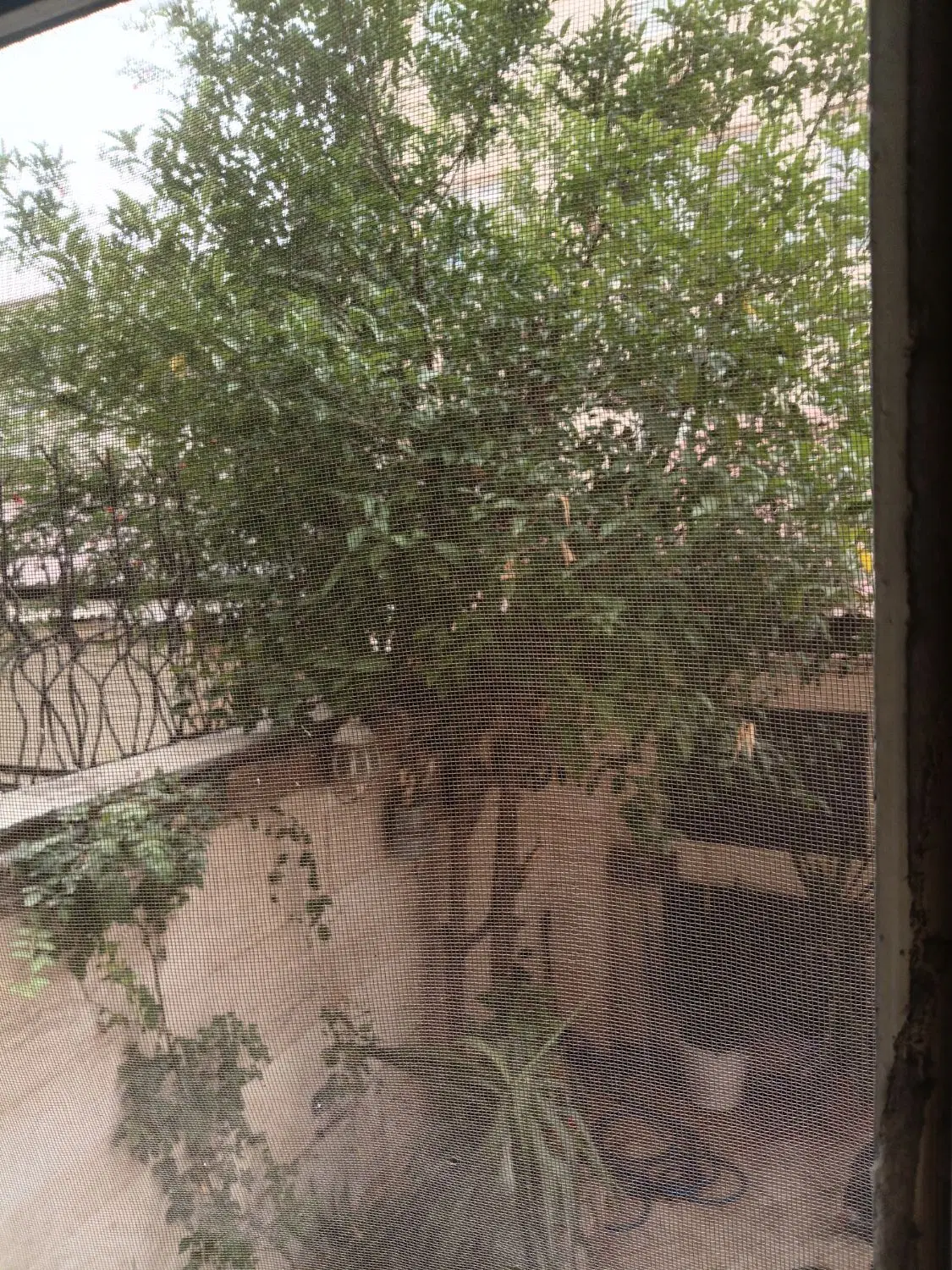 ۳واحد۷۵م یکجا،مسکونی با موقعیت اداری ،ولیعصرناظم