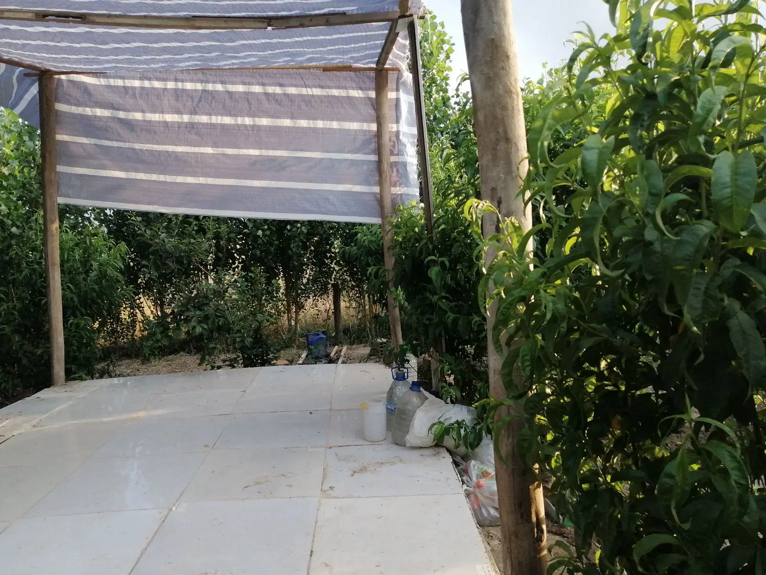 305متر باغچه در فیروز بهرام