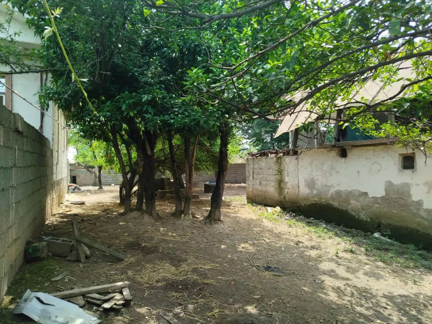 زمین مسکونی بابنادرشمال