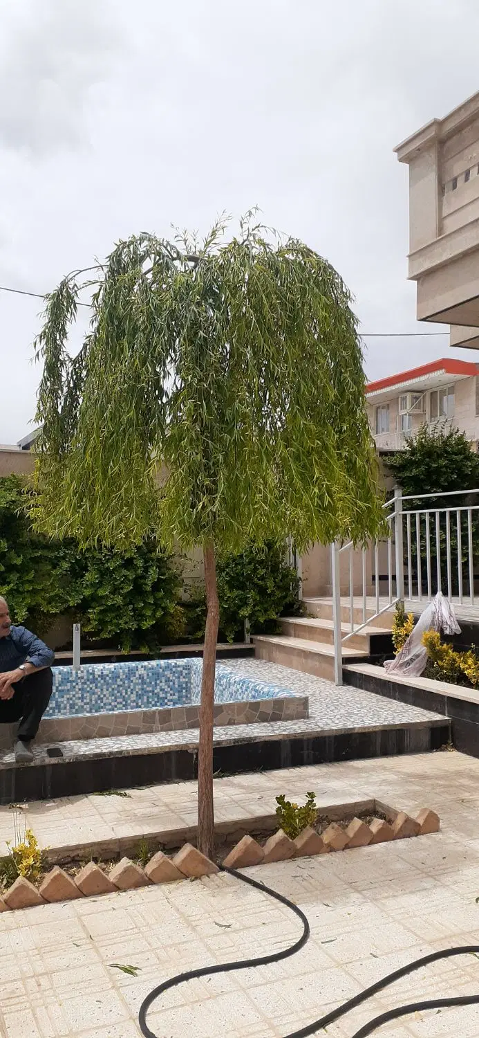 ۵۰۰متر زمین بر بلوار مادر