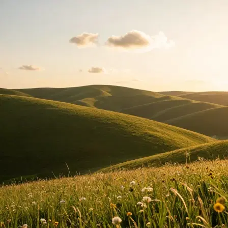 زمین در صحرای هفشجان